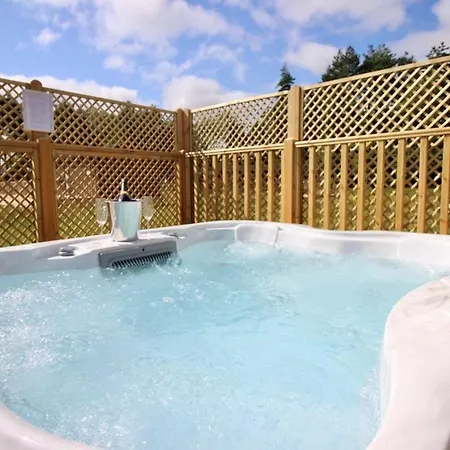 Hollicarrs - Bumblebee * Γιορκ