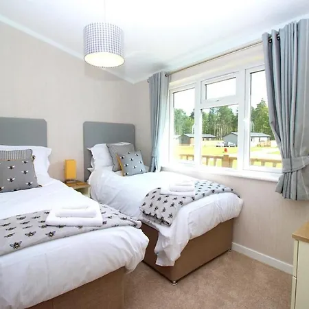 Hollicarrs - Bumblebee *