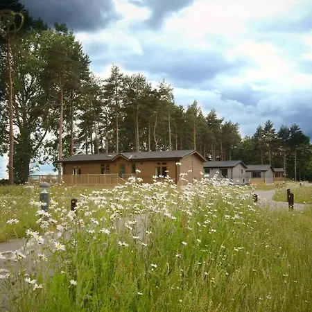 Hollicarrs - Bumblebee * Γιορκ