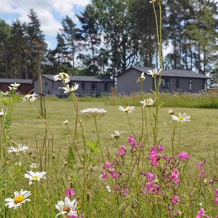 Hollicarrs - Bumblebee Lodge *