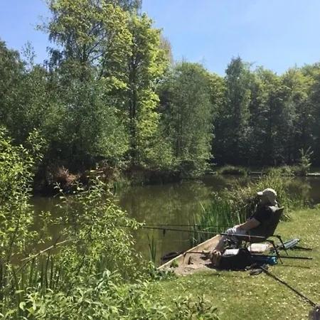 Hollicarrs - Bumblebee Lodge *