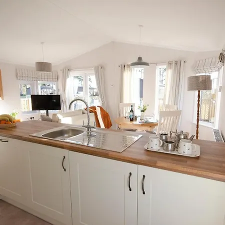 Hollicarrs - Bumblebee Γιορκ