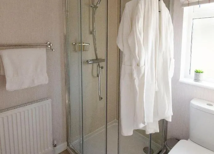 Hollicarrs - Bumblebee *