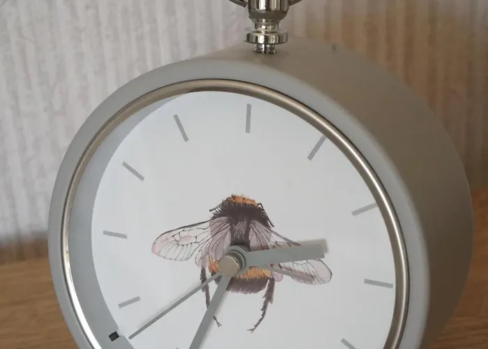 Hytte Hollicarrs - Bumblebee York