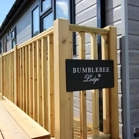 Hollicarrs - Bumblebee *