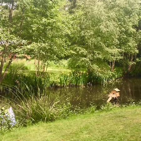 Lodge Hollicarrs - Bumblebee