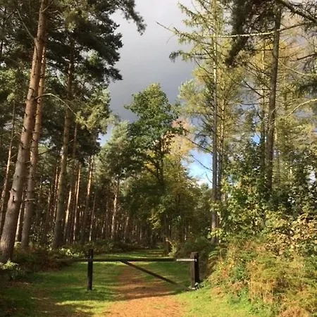Hollicarrs - Bumblebee Lodge
