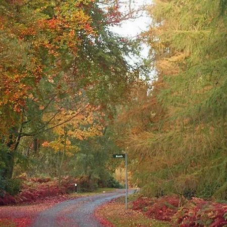 Lodge Hollicarrs - Bumblebee York