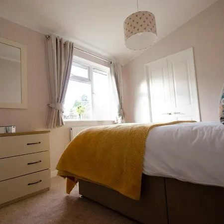 Hollicarrs - Bumblebee