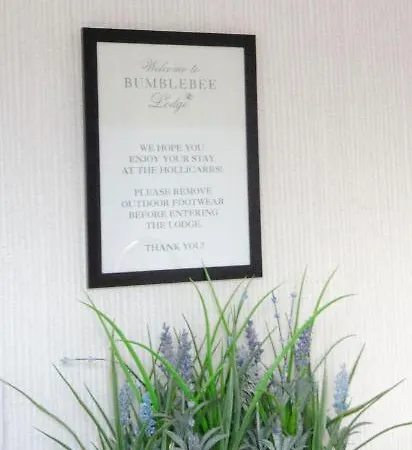 Hollicarrs - Bumblebee *