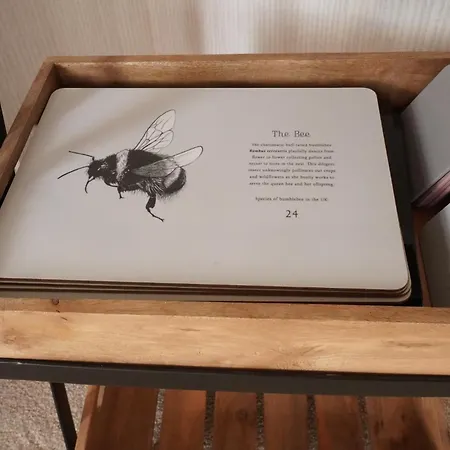 Hollicarrs - Bumblebee Lodge