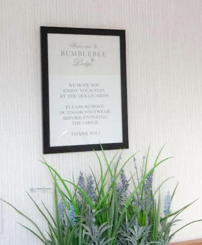 Hollicarrs - Bumblebee *