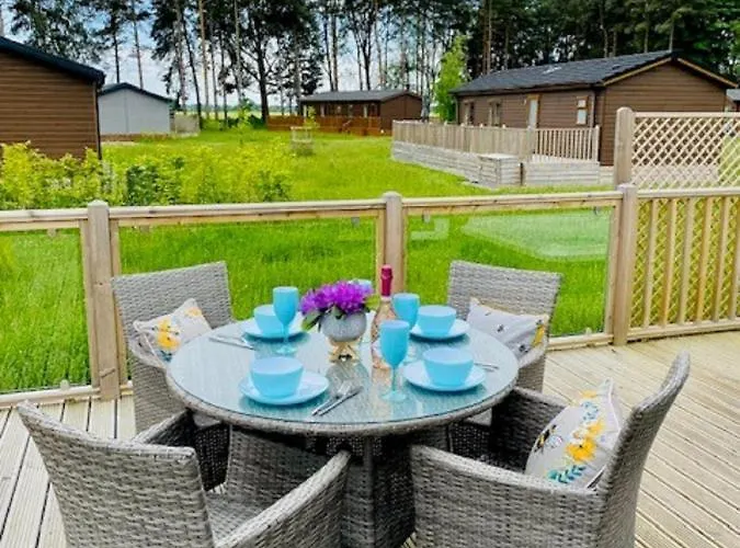 Hollicarrs - Bumblebee * יורק