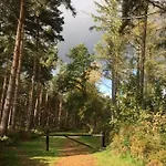 Hollicarrs - Bumblebee Lodge