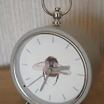 Lodge Hollicarrs - Bumblebee York