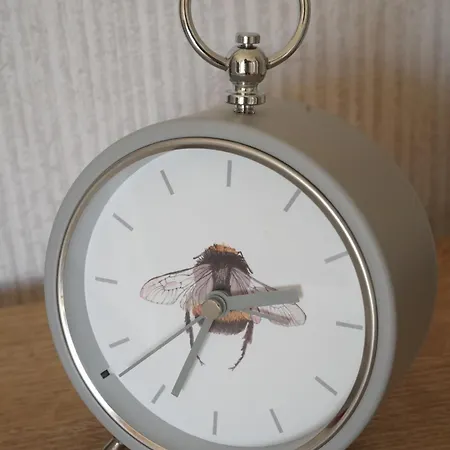 Lodge Hollicarrs - Bumblebee York